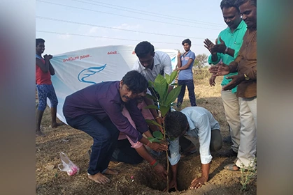 Sapling