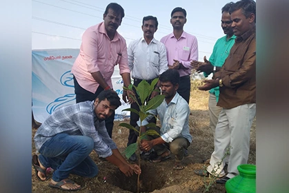 Sapling